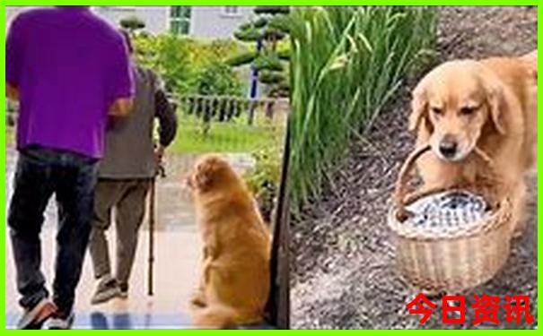 北京博物馆排行榜前十名
